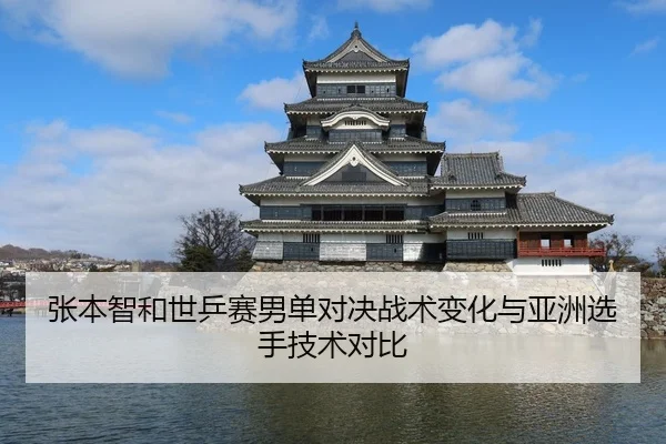 张本智和世乒赛男单对决战术变化与亚洲选手技术对比 - jinniu